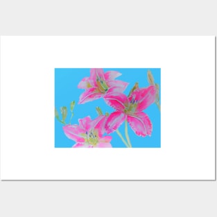 Pink Lily Flowers floral Watercolor Painting Blue Posters and Art